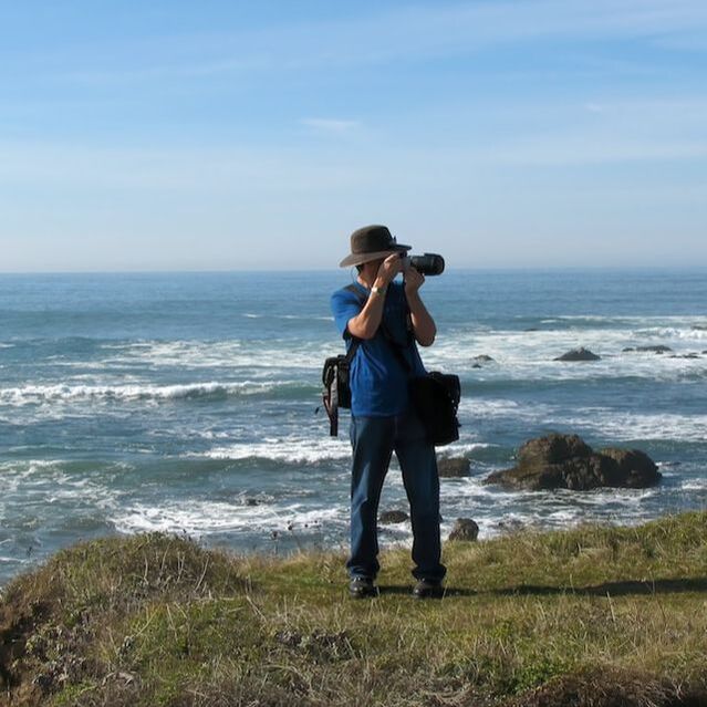 Picture